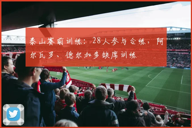 泰山赛前训练：28人参与合练，阿尔瓦罗、德尔加多缺席训练