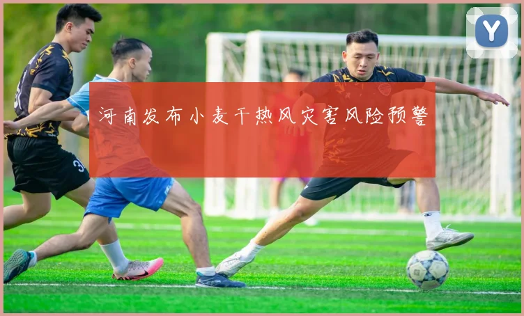 河南发布小麦干热风灾害风险预警