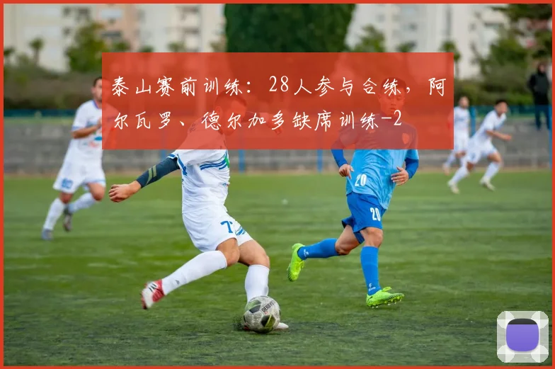 泰山赛前训练：28人参与合练，阿尔瓦罗、德尔加多缺席训练
