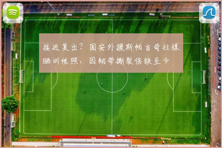 接近复出？国安外援斯帕吉奇社媒晒训练照，因韧带撕裂伤缺至今