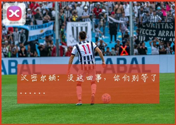汉密尔顿：没这回事，你们别等了......